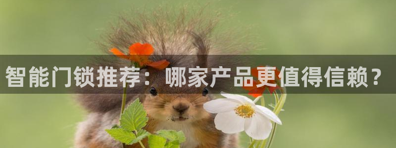 开丰娱乐登入地址：智能门锁推荐：哪家产品更值得信赖？