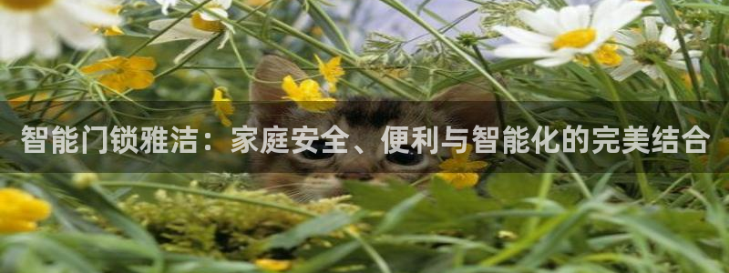 开丰娱乐登录：智能门锁雅洁：家庭安全、便利与智能化的完美结合