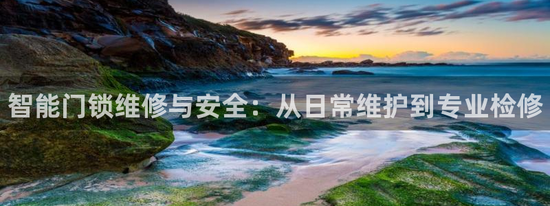 开丰娱乐上：智能门锁维修与安全：从日常维护到专业检修