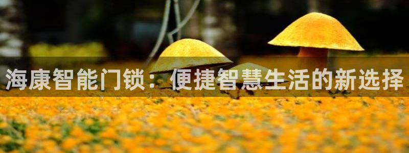 开丰娱乐趣 7O935：海康智能门锁：便捷智慧生活的新选择