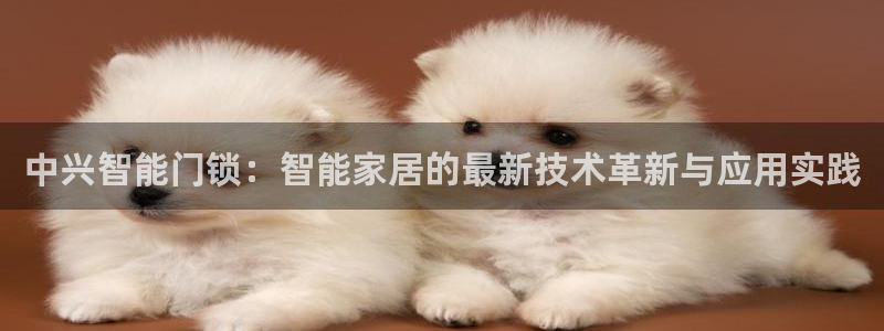 开丰娱乐体育平台：中兴智能门锁：智能家居的最新技术革新与应用