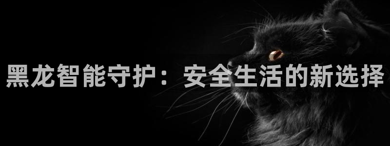 开丰娱乐官网：黑龙智能守护：安全生活的新选择