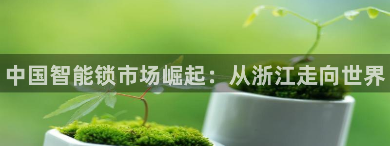 开丰娱乐姜333OO：中国智能锁市场崛起：从浙江走向世界