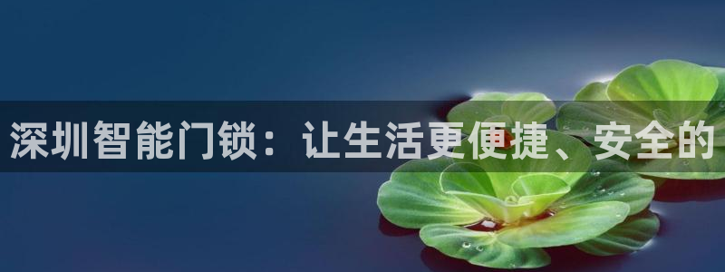 开丰娱乐注册：深圳智能门锁：让生活更便捷、安全的