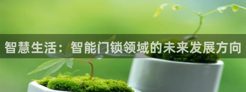 开丰娱乐网站官网首页：智慧生活：智能门锁领域的未来发展方向