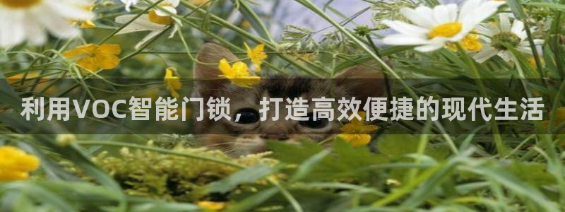 开丰娱乐寸六七五一38：利用VOC智能门锁，打造高效便捷的现