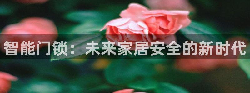 开丰娱乐开户：智能门锁：未来家居安全的新时代