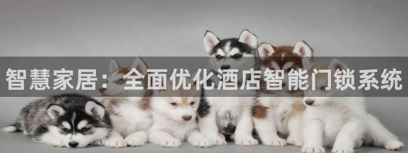 开丰娱乐与六七五一38：智慧家居：全面优化酒店智能门锁系统