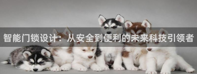 下载开丰娱乐：智能门锁设计：从安全到便利的未来科技引领者