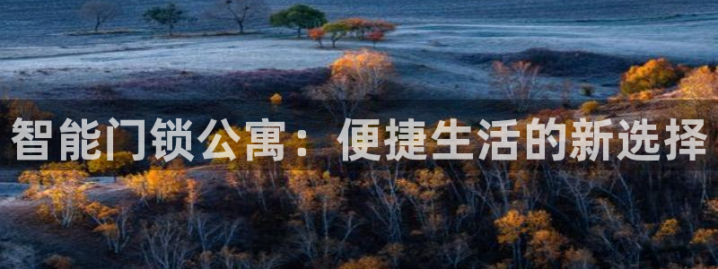 开丰娱乐联系q徽22212：智能门锁公寓：便捷生活的新选择
