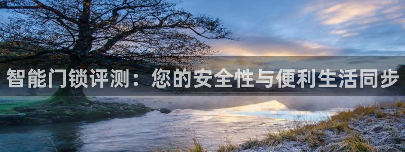 开丰娱乐若七九九：智能门锁评测：您的安全性与便利生活同步