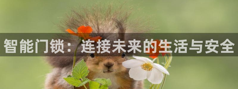 开丰娱乐千67五壹叁八：智能门锁：连接未来的生活与安全