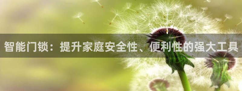 开丰娱乐：智能门锁：提升家庭安全性、便利性的强大工具