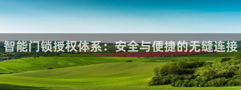 开丰娱乐千67五壹叁八：智能门锁授权体系：安全与便捷的无缝连