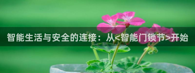 开丰娱乐官网平台登录：智能生活与安全的连接：从<智能门锁节>