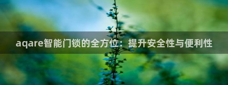 开丰娱乐 赢咖一：aqare智能门锁的全方位：提升安全性与便
