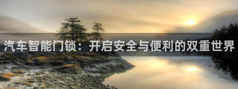 开丰娱乐天7O667：汽车智能门锁：开启安全与便利的双重世界