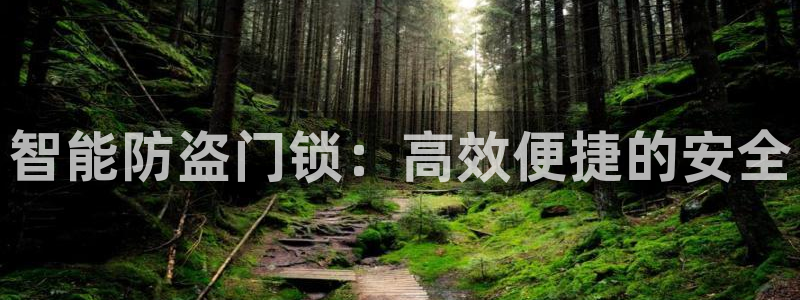 开丰娱乐平台注册时间：智能防盗门锁：高效便捷的安全