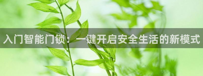 开丰娱乐千67五壹叁八：入门智能门锁：一键开启安全生活的新模