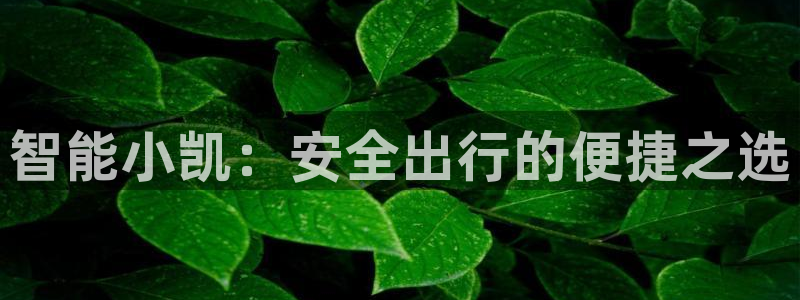 开丰娱乐手机app：智能小凯：安全出行的便捷之选