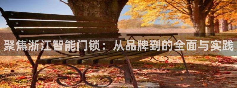 开丰娱乐怎么开转点：聚焦浙江智能门锁：从品牌到的全面与实践