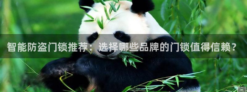 开丰娱乐下7O667：智能防盗门锁推荐：选择哪些品牌的门锁值