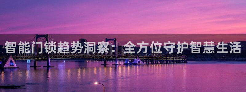 开丰娱乐注册资金多少：智能门锁趋势洞察：全方位守护智慧生活
