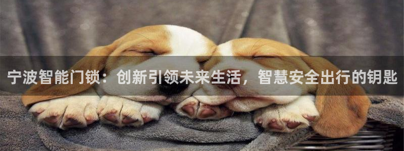 开丰娱乐