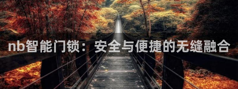 开丰娱乐天：nb智能门锁：安全与便捷的无缝融合
