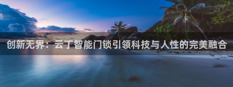 开丰娱乐寸六七五一38：创新无界：云丁智能门锁引领科技与人性