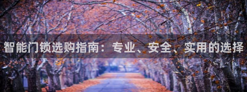 开丰娱乐注册登录不了：智能门锁选购指南：专业、安全、实用的选