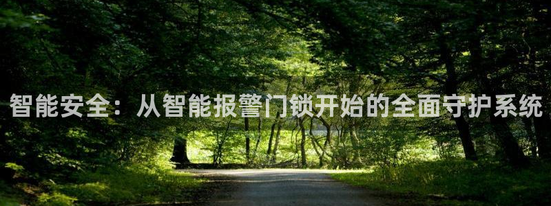 开丰娱乐违法吗：智能安全：从智能报警门锁开始的全面守护系统