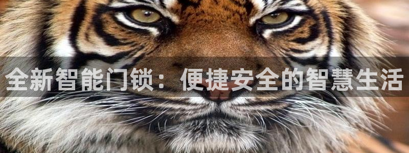 开丰娱乐登陆地址：全新智能门锁：便捷安全的智慧生活