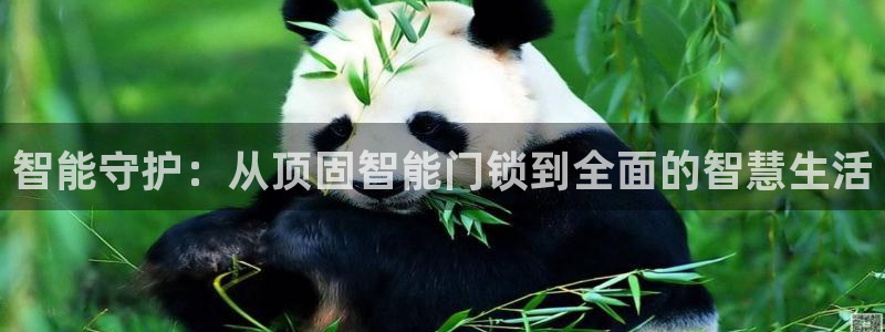开丰娱乐违法吗：智能守护：从顶固智能门锁到全面的智慧生活