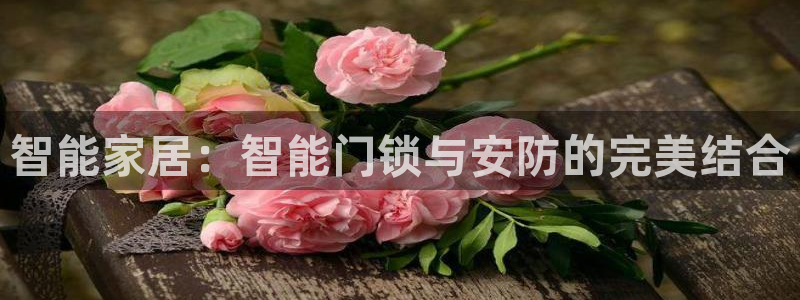 开丰娱乐上：智能家居：智能门锁与安防的完美结合