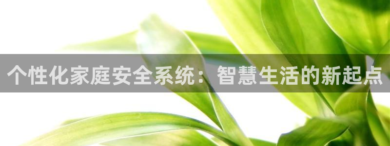 开丰娱乐行业恢复时间：个性化家庭安全系统：智慧生活的新起点
