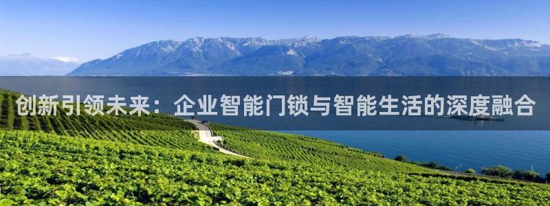 开丰娱乐平台官网网址：创新引领未来：企业智能门锁与智能生活的