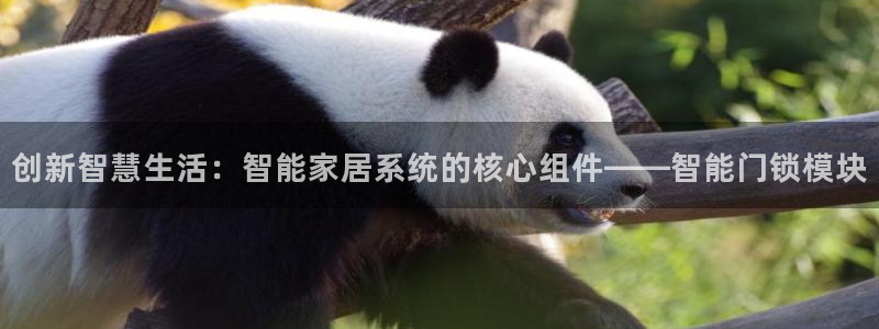 开丰娱乐上：创新智慧生活：智能家居系统的核心组件——智能门锁