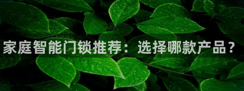 开丰娱乐平台注册地址：家庭智能门锁推荐：选择哪款产品？