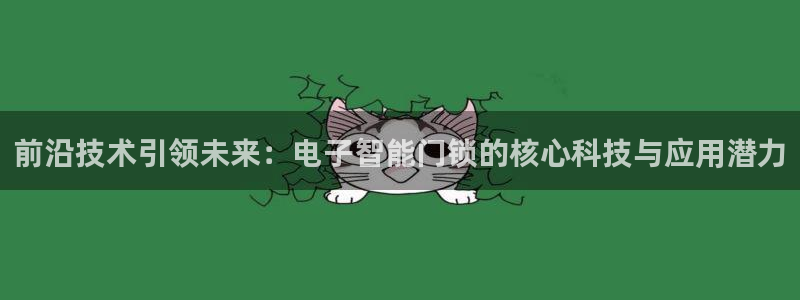 开丰娱乐寸67五壹叁八：前沿技术引领未来：电子智能门锁的核心