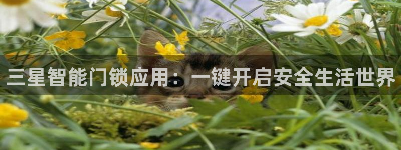 开丰娱乐后7O667：三星智能门锁应用：一键开启安全生活世界