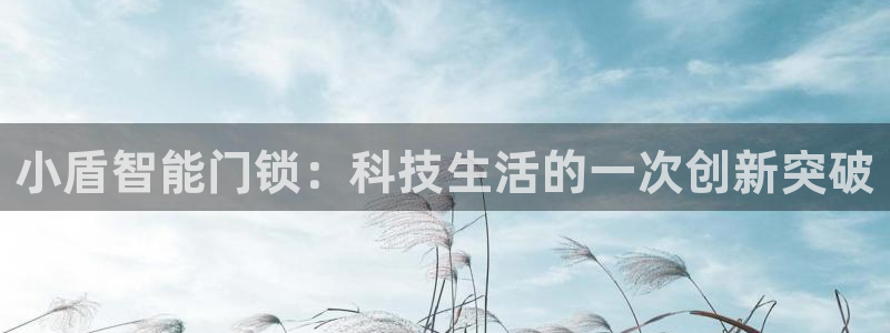 开丰娱乐网站官网：小盾智能门锁：科技生活的一次创新突破
