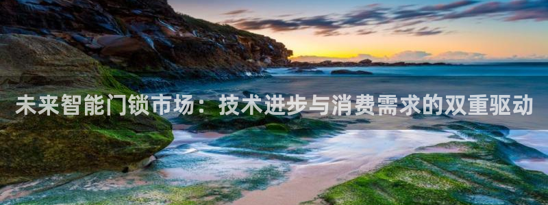 开丰娱乐更多平台：未来智能门锁市场：技术进步与消费需求的双重