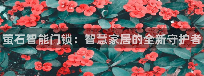 开丰娱乐登录注册：萤石智能门锁：智慧家居的全新守护者