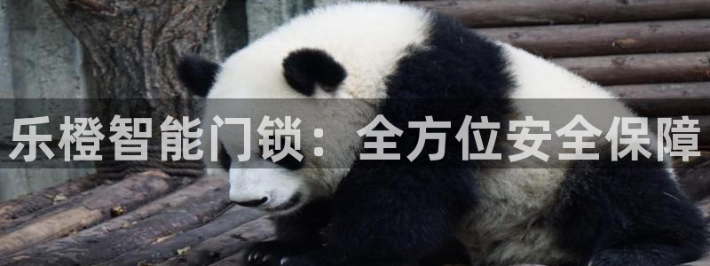 开丰娱乐注册电7O777：乐橙智能门锁：全方位安全保障