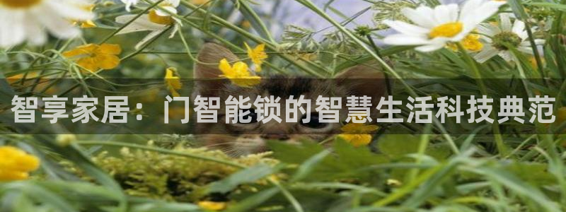 开丰娱乐注册：智享家居：门智能锁的智慧生活科技典范